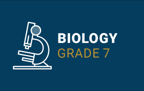 (1) Biology Gr 7