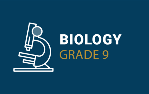 (3) Biology Gr 9