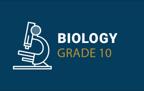 (4) Biology Gr 10