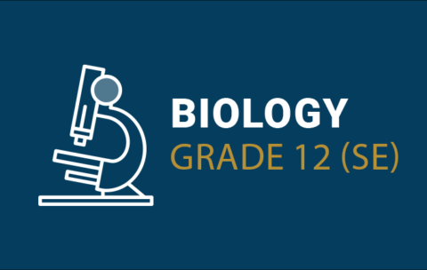 (6) Biology Gr 12 SE