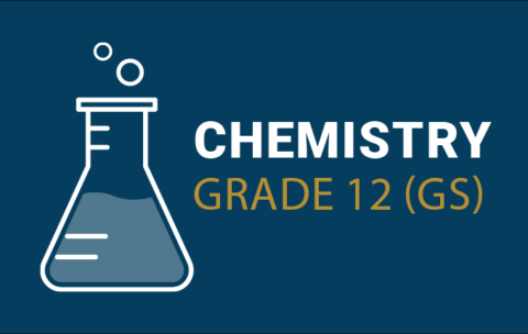 (8) Chemisrty Gr 12 GS